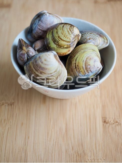 seafood,foodingredients,lily shell,seashell,cookingingredients,cooking ingredients,clamshell,food,lilyclam,wellbeingfood,rawclam,wellbeing,background,raw clams,Wellbeing food,Food Ingredients,clam,fish and shellfish