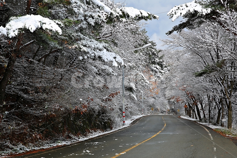무등산,겨울,눈,무등산국립공원,길,빛고을,겨울,계절,winter,season,자연,풍경,nature,landscape,asphalt,아스팔트,road,도로,plant,식물