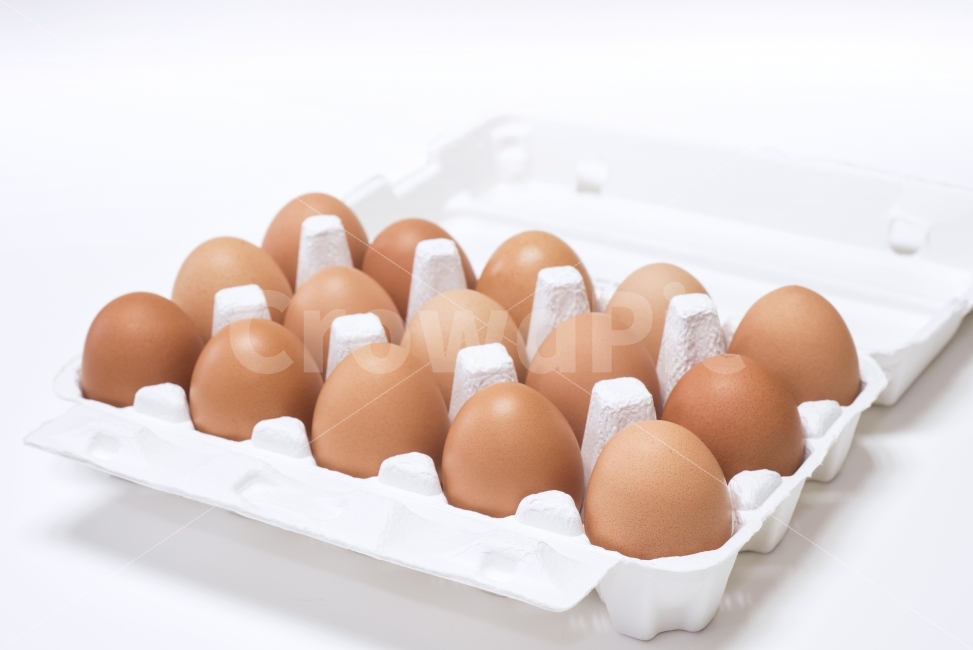 계란,달걀,음식,식재료,먹다,계란판,식료품,egg,단백질,담겨있는,보관,신선,식품,재료,오브젝트,요리,한판,흰배경,하얀배경,후레쉬,무농약,살충제,검사,인증,확인,음식,식재료,요리,food,cook,meal,dishes,food reserves