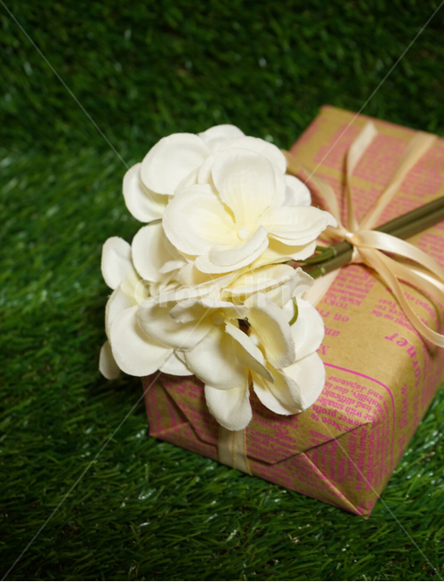 선물,선물상자,꽃,포장,소품,인테리어,gift,flower,ribon,리본,기념일,축하,anniversary,congratulation,celebrate,celebration