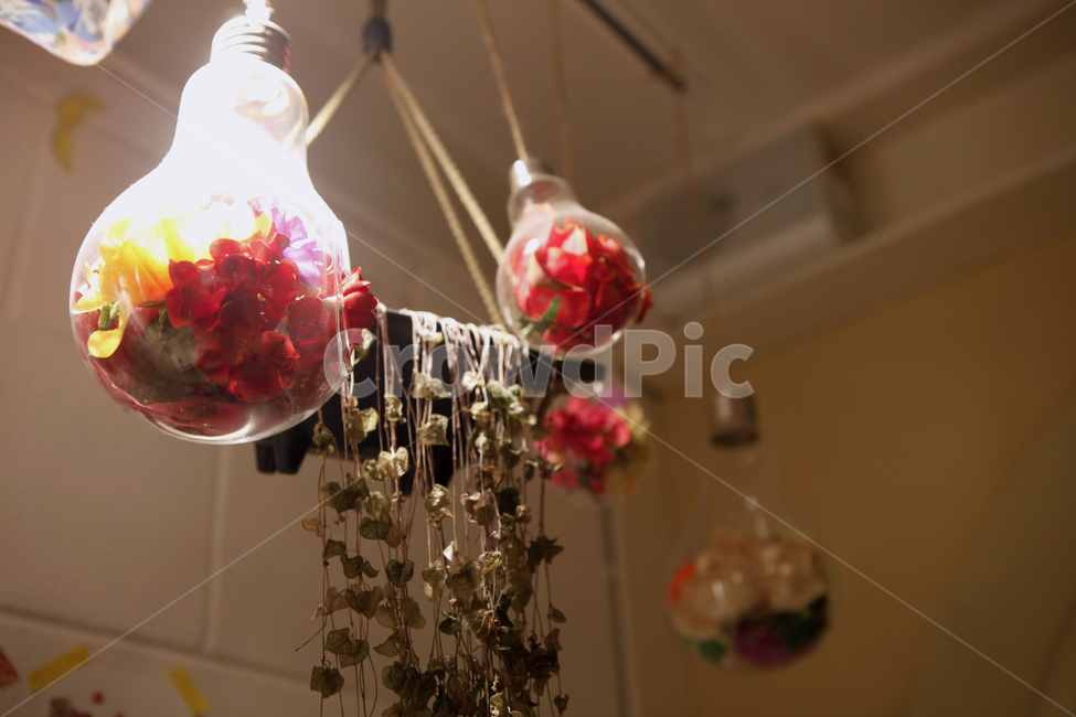 실내,카페,인테리어,장식,꽃,사물,물건,오브젝트,thing,object,matter
