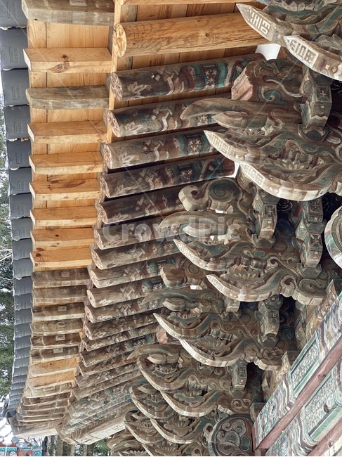 wooden building,Buddhist temple building,tree,pattern,temple,wood,Dancheong