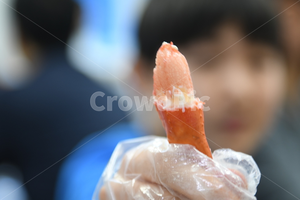 게,게살,털게,음식,바다,요리