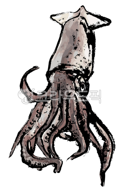 오징어,음식,씨푸드,깔라마리,스퀴드,먹물,잉크,회,요리,생선,빨판,동물,물고기,붓,브러시,수묵화,동양화,반찬,건오징어,food,seafood,calamari,squid,ink,sashimi,cooking,sucker,animal,fish,brush,inkpainting,orientalpainting,sidedish,driedsquid