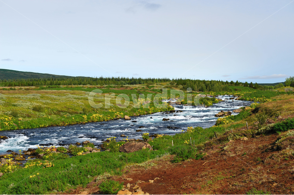 아이슬란드,강물,풍경,iceland,초록,자연,풍경,nature,landscape,해외,외국,세계,foreign,oversea,world,세계자연풍경,해외자연풍경,외국자연풍경,world nature landscape,water,물,land,땅,outdoors,옥외,stream,흐름,creek,작은 만