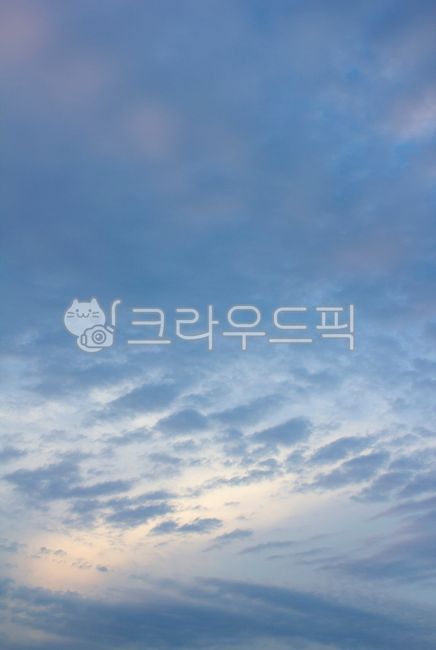 바닐라스카이,하늘,구름,노을,해질녘,늦은오후,양떼구름,하늘색,자연,파란색