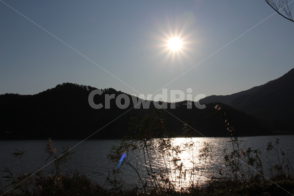 flare,플레어,light,빛,outdoors,옥외,nature,자연