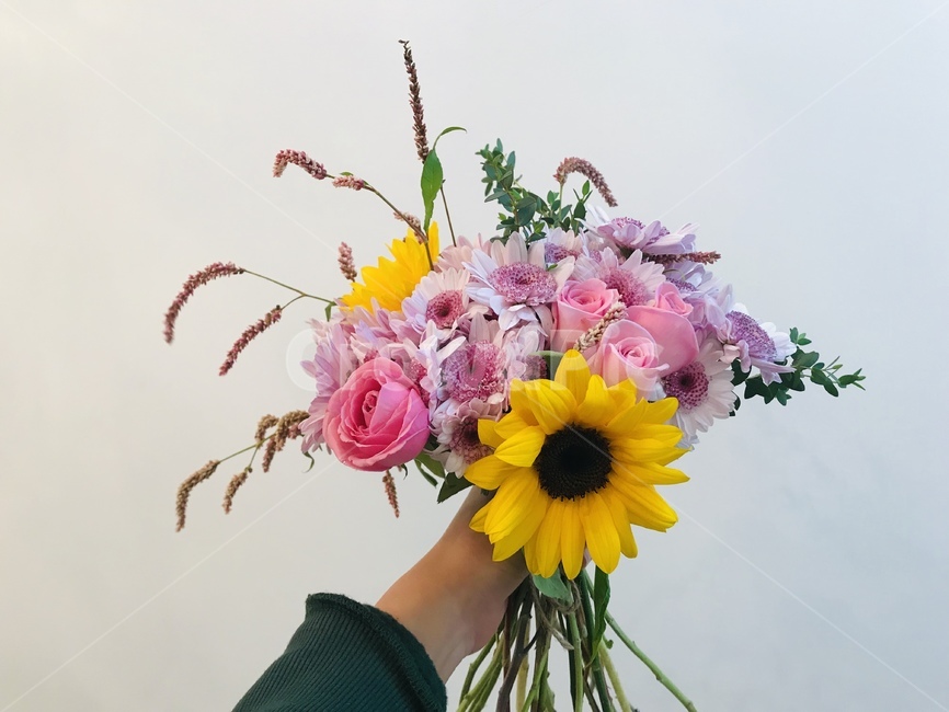 plant,식물,꽃꽂이,꽃,flower,식물,자연,plants,nature,꽃,flower