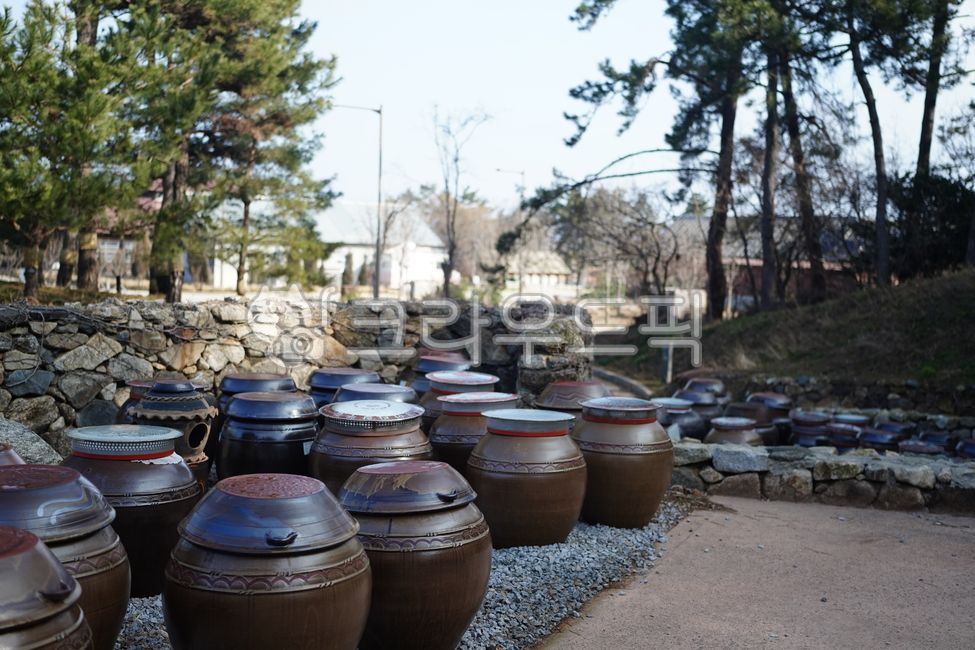 Making soybean paste,fermented soybean paste,Jangdokdae,crock pot,jar,Traditional fermentation