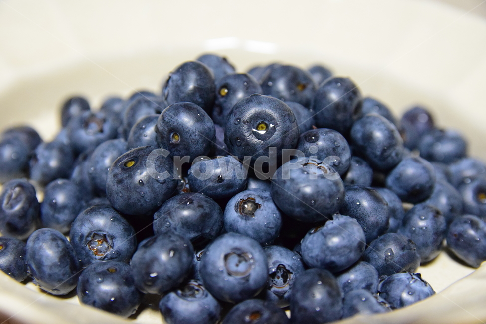 블루베리,베리,과일,열매,과실,씨없는과일,씨없는열매,blueberry,fruits,맛있는,보라색열매,진보라색
