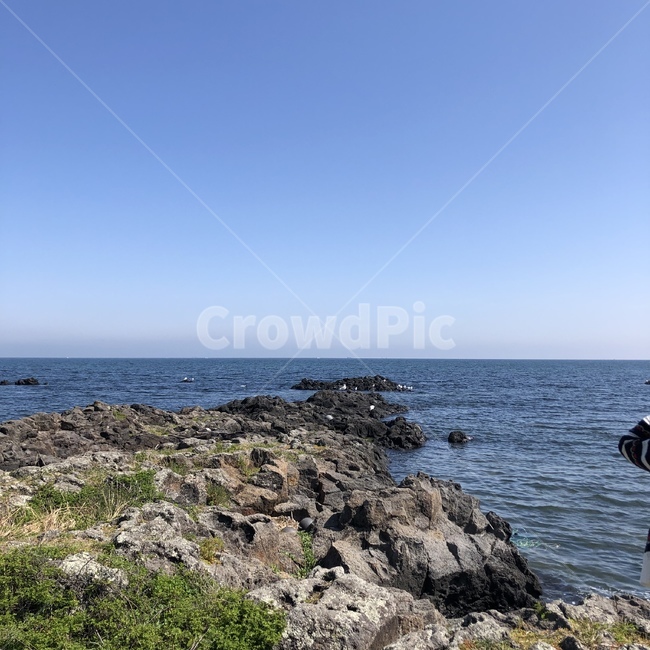 제주도,바다,물,하늘,제주도바다