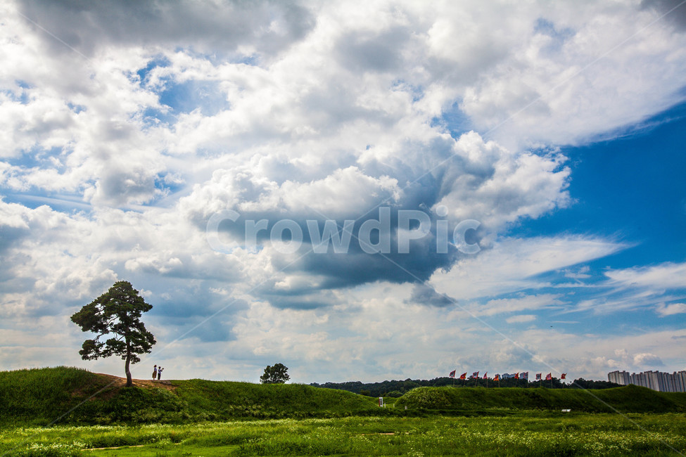구름,cloud,하늘,sky,풍경,나무,tree,korea,자연,풍경,nature,landscape,outdoors,옥외,grassland,목초지,field,들,weather,날씨