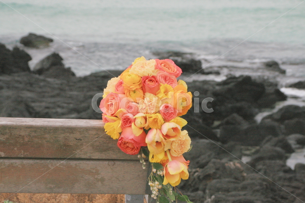 부케,샤워부케,웨딩,웨딩부케,웨딩스냅,식물,자연,plants,nature,꽃,flower,기념일,축하,anniversary,congratulation,celebrate,celebration,감성,sensible,feeling,색깔,색상,색채,색감,color sense,color sensitivity,feeling of color