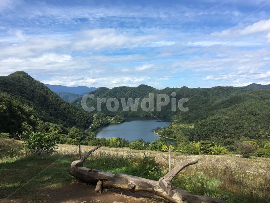 나무,자연,nature,풍경,경치,춘천,산,전경