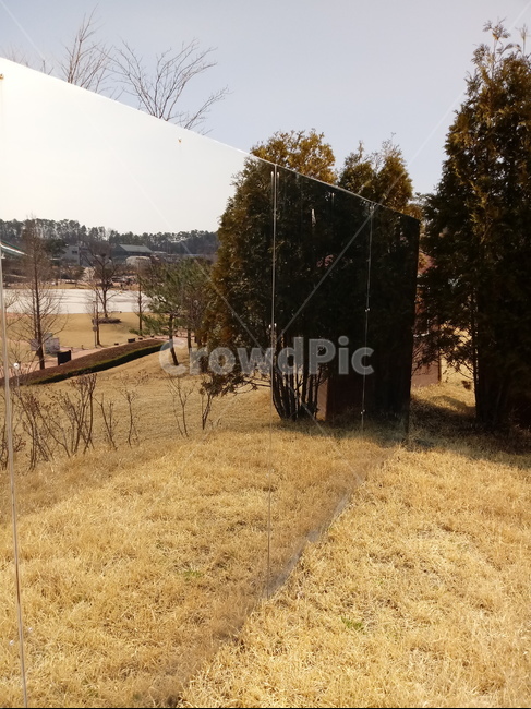 나무,나무가지,나무줄기,식물,treetrunk,plant,tree,outdoors,자연,잔디,거울,반사경