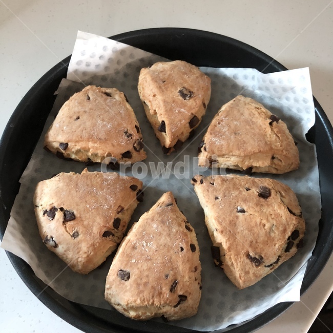 스콘,빵,홈베이킹,초코칩,간식,음식,식재료,요리,food,cook,meal,dishes,food reserves,빵,bread