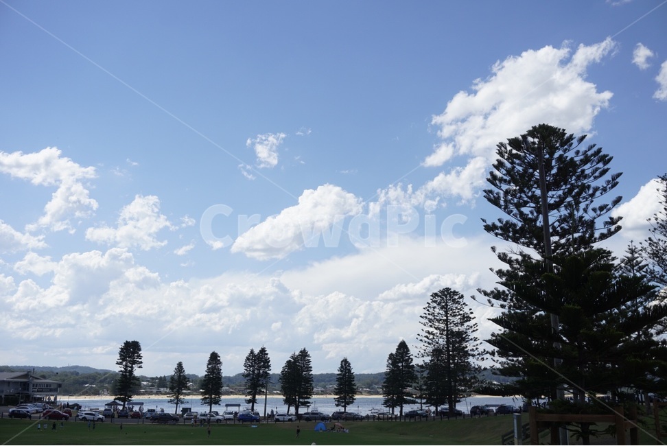 시드니,Sydney,자연,nature,풍경,scenery,하늘,sky,나무,tree,자연,풍경,nature,landscape,outdoors,옥외,grass,잔디,plant,식물,weather,날씨,field,들