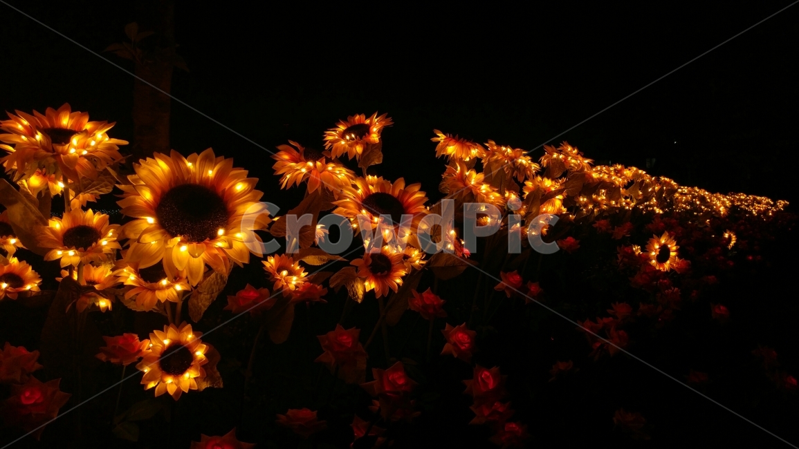 해바라기,꽃,조화,LED,조명,장식,야경,불빛,light,야경,밤,풍경,nightscape,night,landscape,꽃,flower,plant,식물,leaf,잎