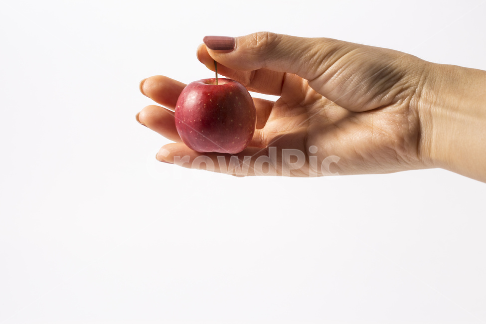 손,손가락,사과,과일,열매,꽃사과,빨간색,비타민,미니사과,사람,인물,인간,human,person,신체일부,몸,body