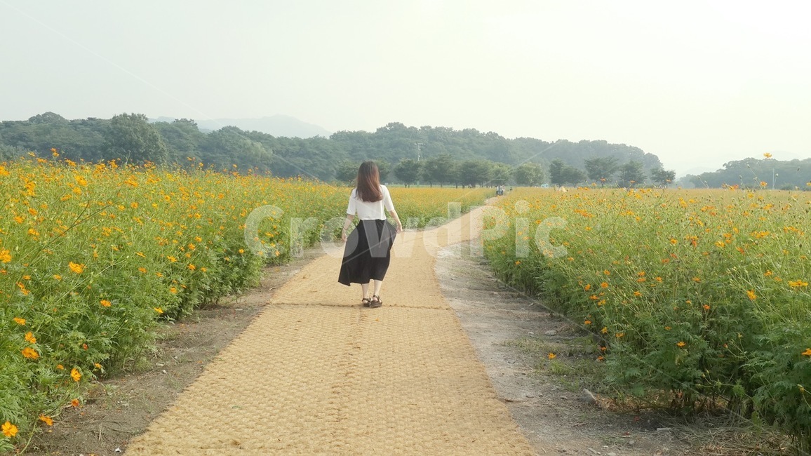 경주,꽃,여자,길,자연