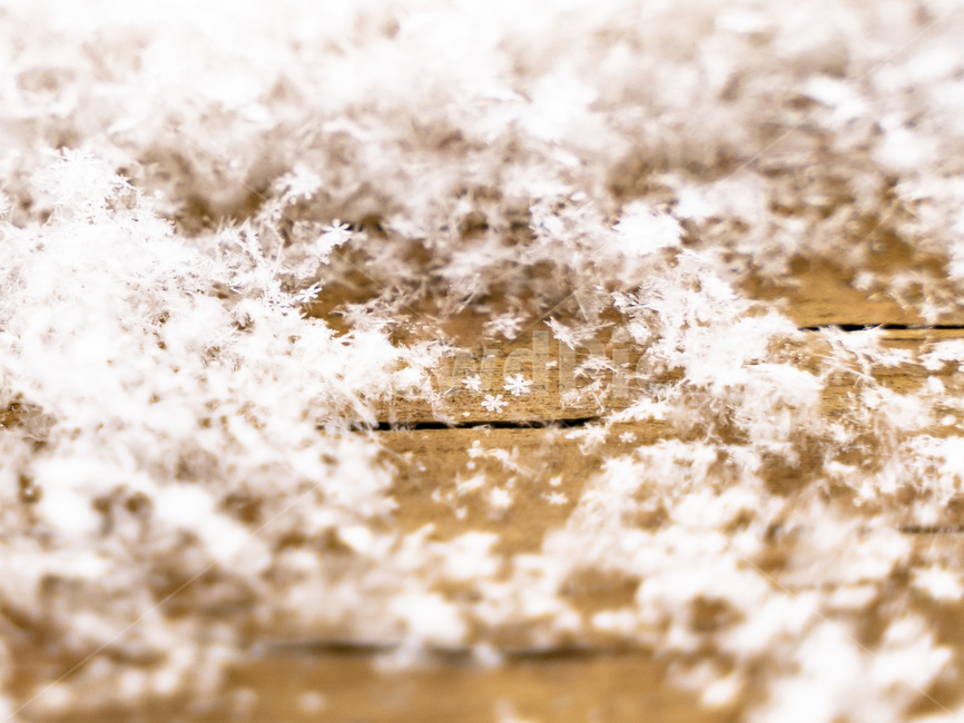 눈꽃,눈,snow,flake,겨울,겨울,계절,winter,season