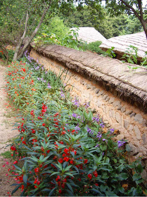 민속촌,민속마을,한국전통,전통,전통마을,한국문화,보존,한국의미,옛마을,village,nature,plant,자연,풍경,식물,주거지,korean,traditional,culture,나무,전통정원,담장