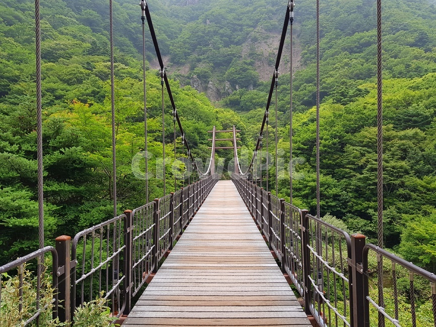 길,한라산,다리,용진각,현수교