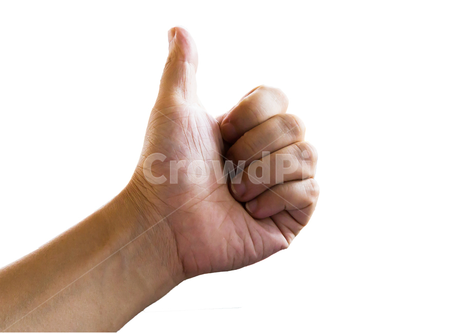 남자,생활,컨셉,연출,손,추천,엄지,엄지척,최고,인정,인정받는,1등,누끼,흰색배경,좋아요,신체,손바닥,손가락,손톱,검지,사람,인간,제스쳐,사인,정지,배경,사람,인물,인간,human,person,신체일부,몸,body,손,제스처,표시,손짓,표현,gesture,hand,sign,expression