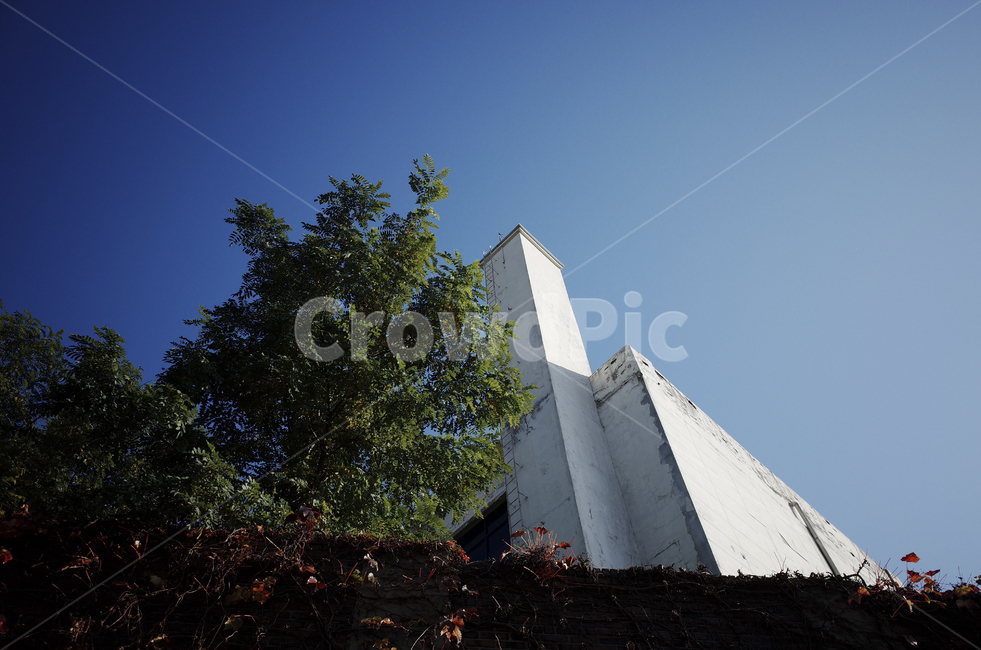 nature,자연,sky,하늘,blue,파란,푸른,파란하늘,푸른하늘,덩쿨,담장,green,tree,나무,식물,plant,leaf,잎,white,건축물,건물외관,exterior,building,structure,architecture,construction