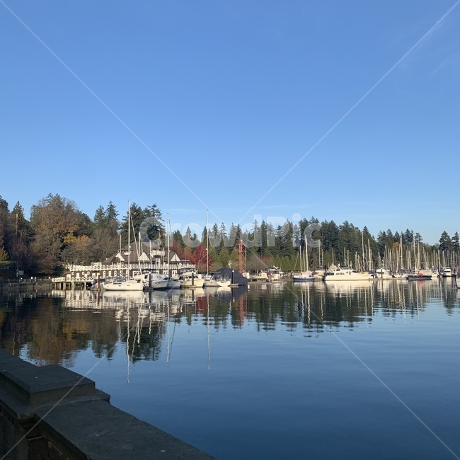 스탠리파크,stanleypark,공원,호수,요트,자연,바다,단풍,밴쿠버,캐나다,자연경관,물,lake,water,나무,plant,nature,옥외,식물,park,하늘,세계자연풍경,해외자연풍경,외국자연풍경,world nature landscape