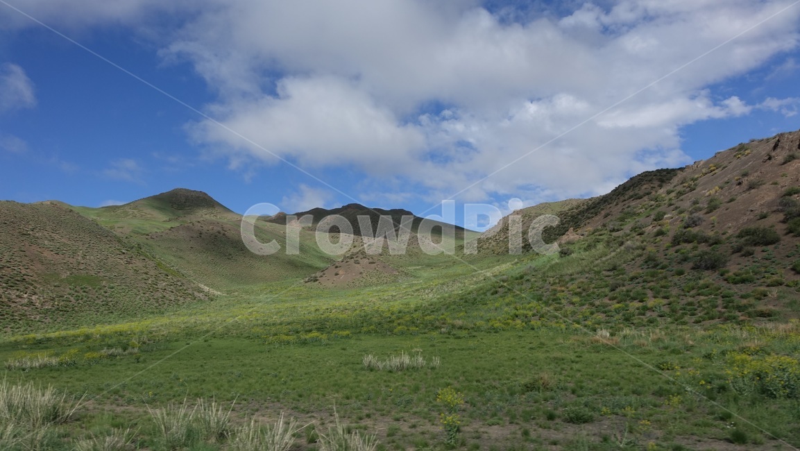 자연,초록,그린,풀밫,green,grass,field,nature,산맥,산,hill