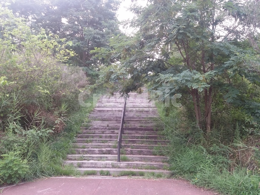계단,길,숲길,숲속계단,층계,자연속길