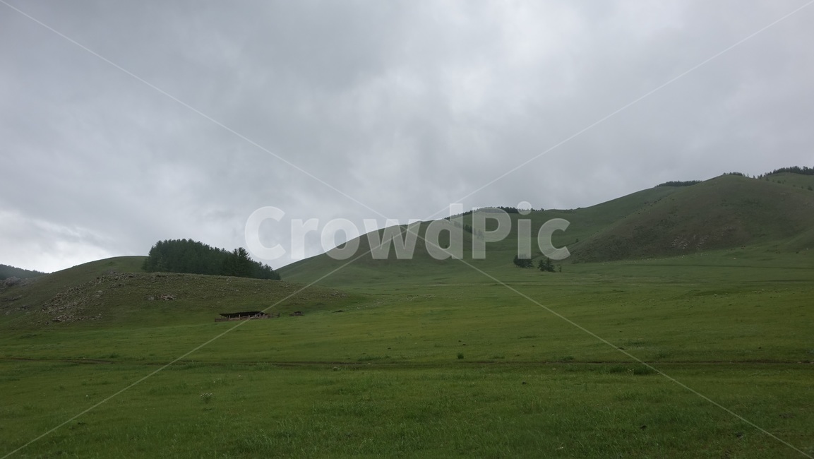 자연,풀밭,들판,nature,grass,field,green,초록,hill,언덕,초원