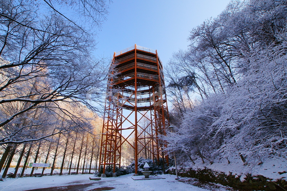 장태산,대전시휴양림,대전광역시서구기성동,어드벤처,스카이타워,겨울,계절,winter,season,건축물,건물외관,exterior,building,structure,architecture,construction