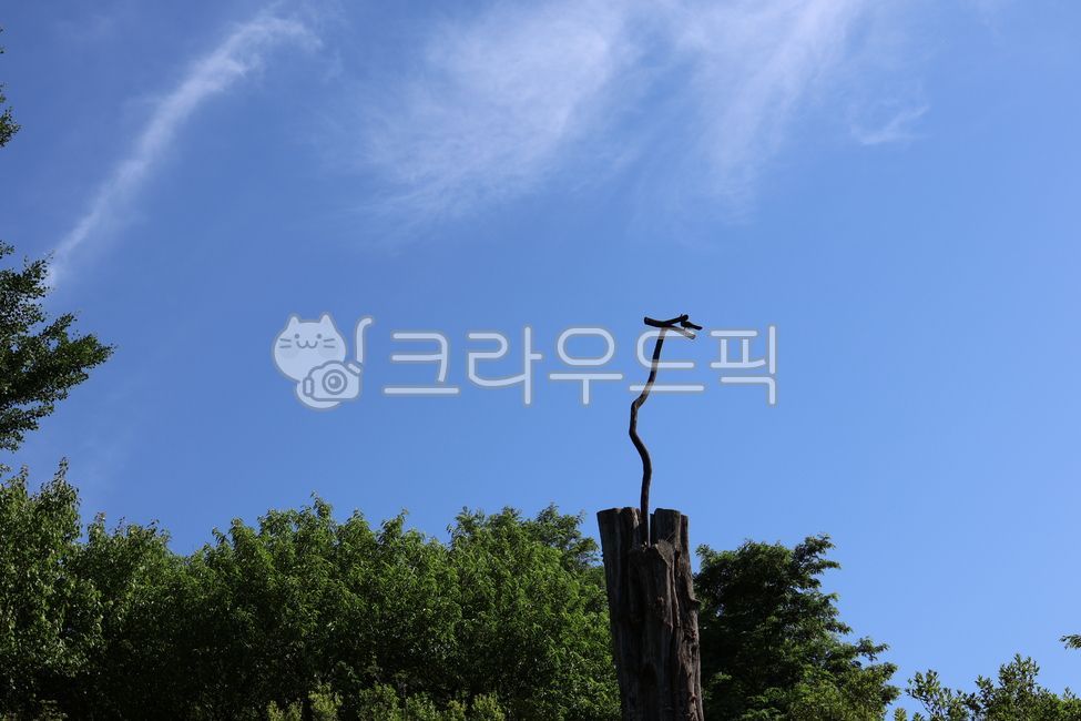 솟대, 하늘, sky, 옥외, 나무, 사진,이미지,일러스트,캘리그라피 - bbutter작가