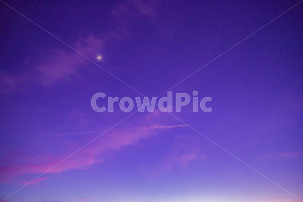abstract,art,astronomy,backdrop,background,beautiful,blue,blur,bright,color,design,fantasy,gradient,illustration,la,light,losangeles,night,pattern,purplesky,sky,space,star,starry,sunset,texture,usa,wallpaper,보라색,영화촬영지,미국,로스앤젤레스,라라랜드,핑크,하늘,선셋,해질녘,보라빛하늘,야경,로맨틱,달,구름,자연,새벽,황혼,일몰,경치,풍경