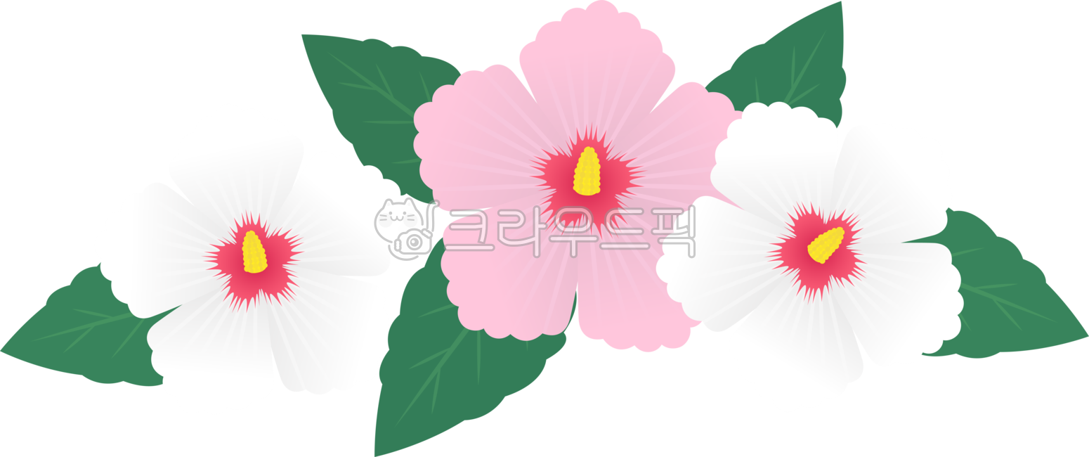 무궁화,국화,국경일,꽃,독립운동,꽃잎,flower,petal,png,일러스트,그래픽,심볼,아이콘,illustration,graphic,simbol,icon,광복절,삼일절,개천절,보훈,애국,나라사랑,현충일