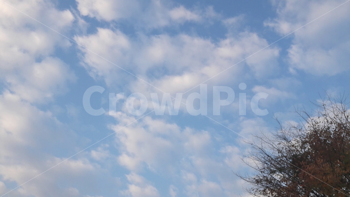 가을의아침,하늘,구름,자연,풍경,자연,풍경,nature,landscape,outdoors,옥외,sky