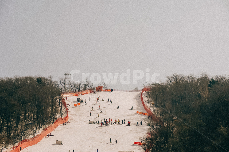 겨울,눈,자연풍경,스키,하얀색,나무,운동,겨울,계절,winter,season,사람들,대중,군중,other people,crowd,스포츠,레저,운동,sports,leisure,exercise