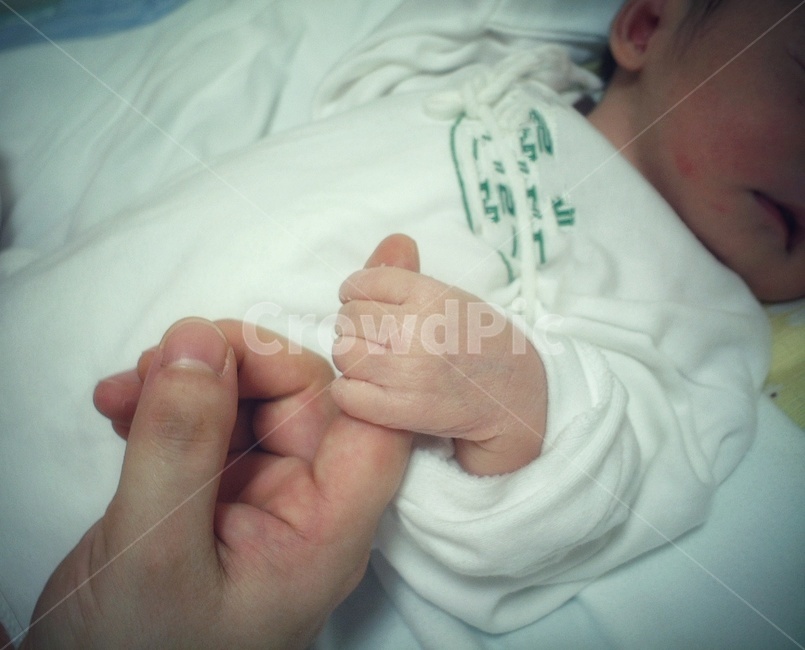 아기손,아기,갓난아기,신생아,유아,고사리손,베이비,baby,아가,피부,신체,사람,아이손,출산,손가락,작은손,hand,손,생명,소중한