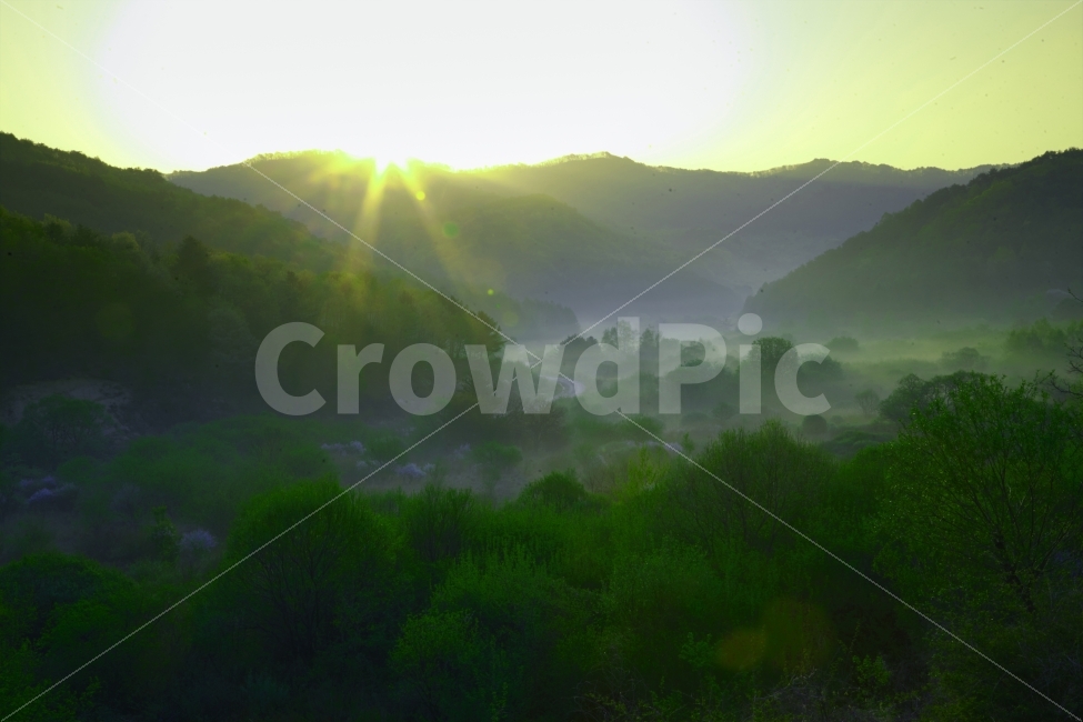 spring,path,Inje,secret garden,green forest,clean area,Sunrise,mountain path,Secret Garden,Fog