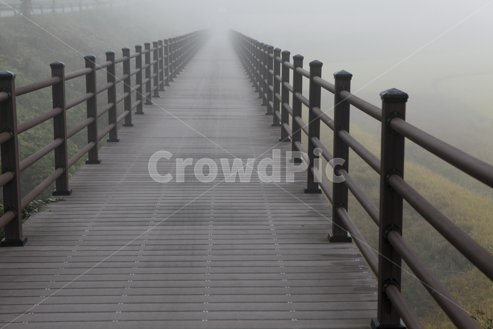 아침,안개,길,산책로,직선,구성,데크,집중,희망,진취,road,fog,line,hope,자연,풍경,nature,landscape,bridge,다리,building,건물,boardwalk,water,물