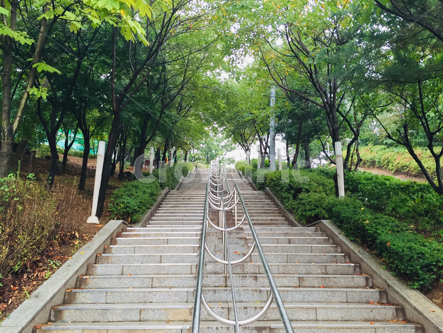 공원,계단,오르막계단,쌍둥이계단,나무,푸르른,초록,오르막
