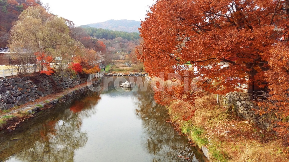 가을,단풍,울긋불긋,예쁜,강,화려한,풍경