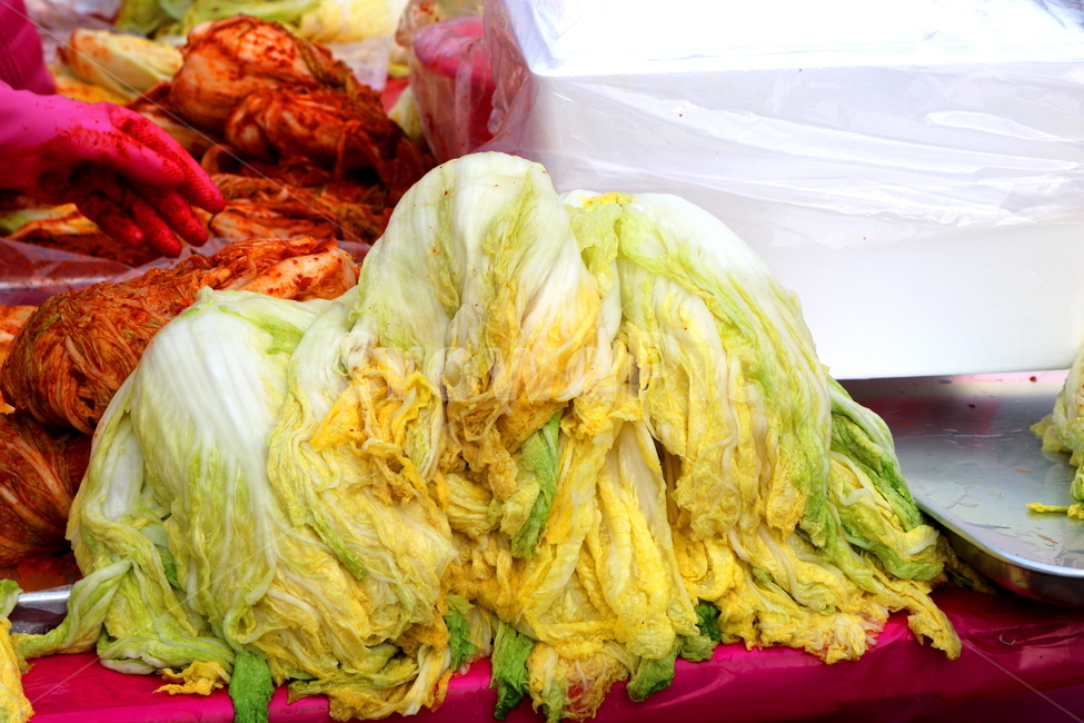 김치,김장,김장김치,배추,절임배추,배추김치,김장철,겨울,음식,식재료,요리,food,cook,meal,dishes,food reserves,채소,야채,vegetables,한식,한국음식,한국요리,korean food,korean dishes,korean meal,korean cook