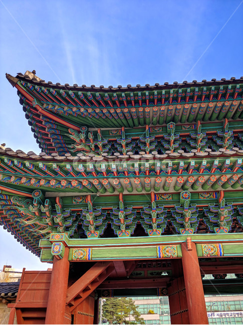 한옥,창경궁,조선,고궁,처마,옛,역사,서울,궁,기와,관광,전통