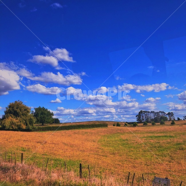뉴질랜드,로터루아,자연,대자연,하늘,맑음,구름,newzealand,nature,sky,sunny,tree,cloud,자연,풍경,nature,landscape,해외,외국,세계,foreign,oversea,world,세계자연풍경,해외자연풍경,외국자연풍경,world nature landscape,outdoors,옥외,grassland,목초지,field,들