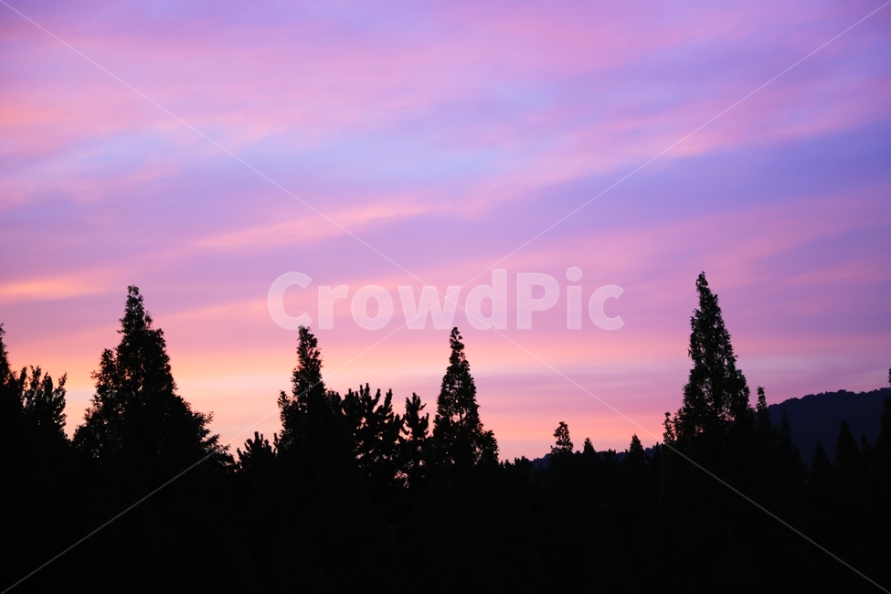 evening,landscape,romantic,scenery,sun,sunset,노을,풍경
