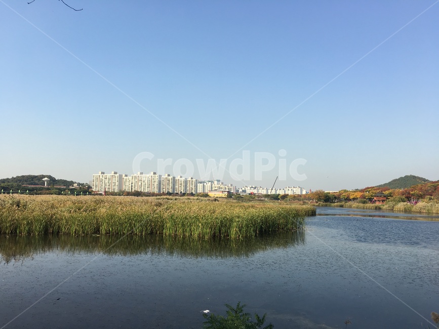 호수,저수지,갈대,초록,가을,갈대밭,저수지물,물,강,바다,가을바람,가을바다,가을저수지,오리,하늘,파랑,구름,맑음,가을,계절,fall,autumn,season,도시,풍경,city,landscape,한국도시풍경,한국도시경관,korea cityscape,water,nature,자연,land,땅,outdoors,옥외