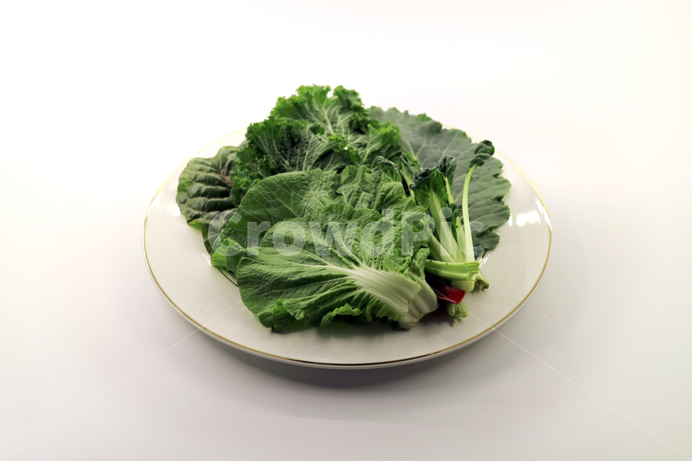 쌈채소,채소,야채,음식,식재료,food,모듬채소,모듬쌈,건강,웰빙,다이어트,샐러드,요리,식품,싱싱한,신선한,fresh,오브젝트,누끼,봄동,치커리,적근대,비타민,접시,음식,식재료,요리,food,cook,meal,dishes,food reserves,채소,야채,vegetables,누끼,remove background